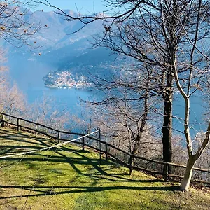 Il Riccio Apartamento